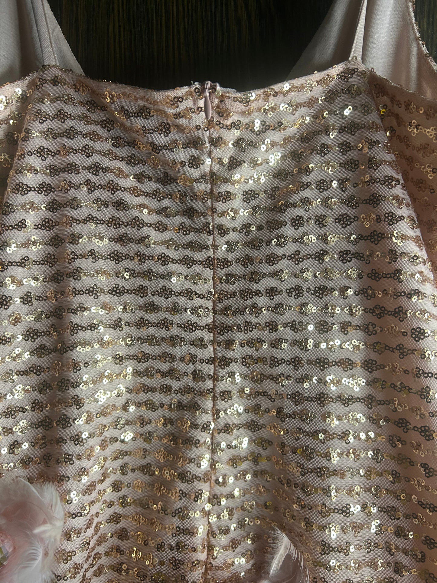 Pink Sequins Feather Dress