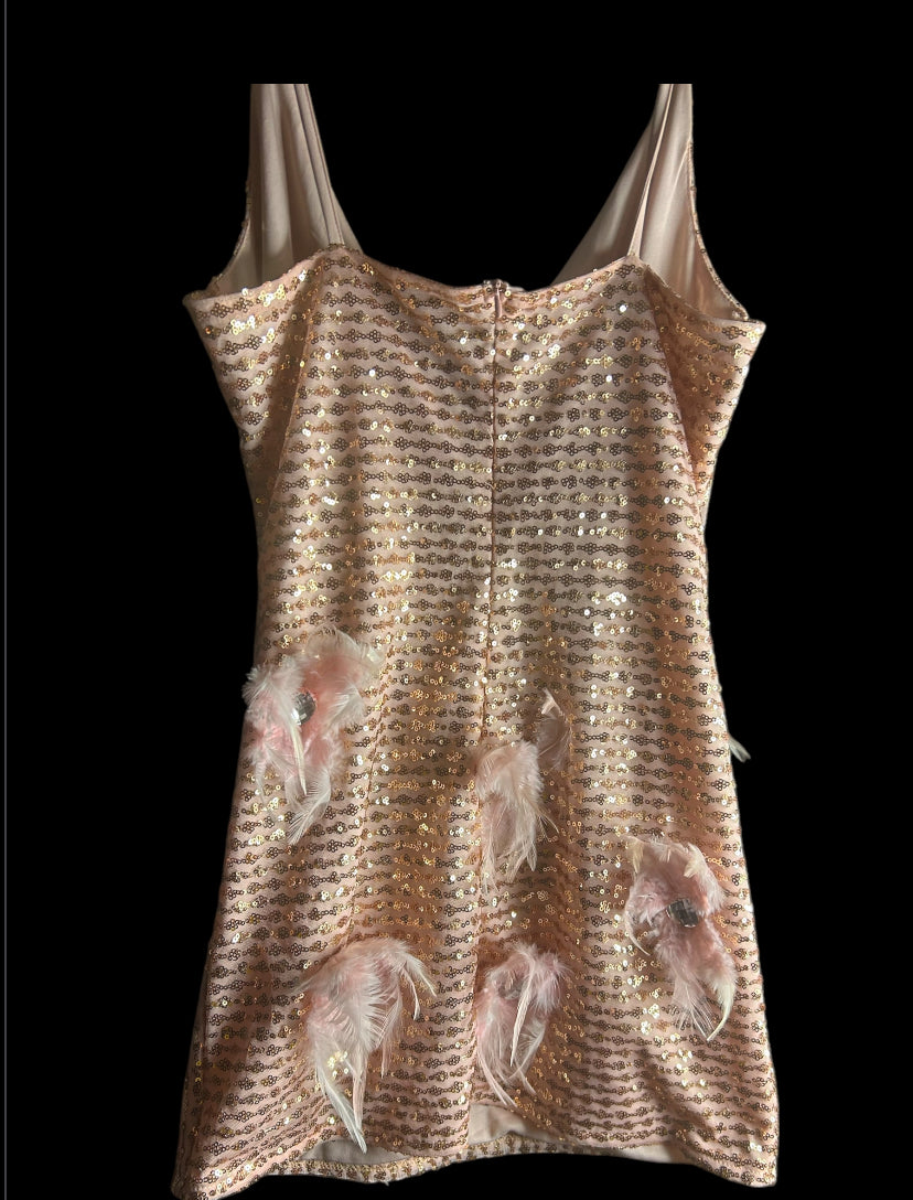 Pink Sequins Feather Dress