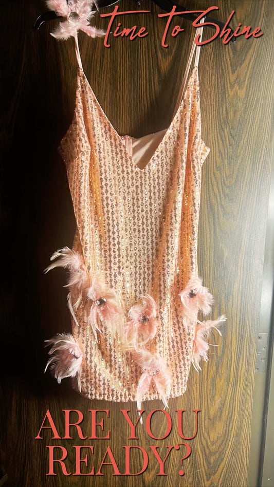 Pink Sequins Feather Dress